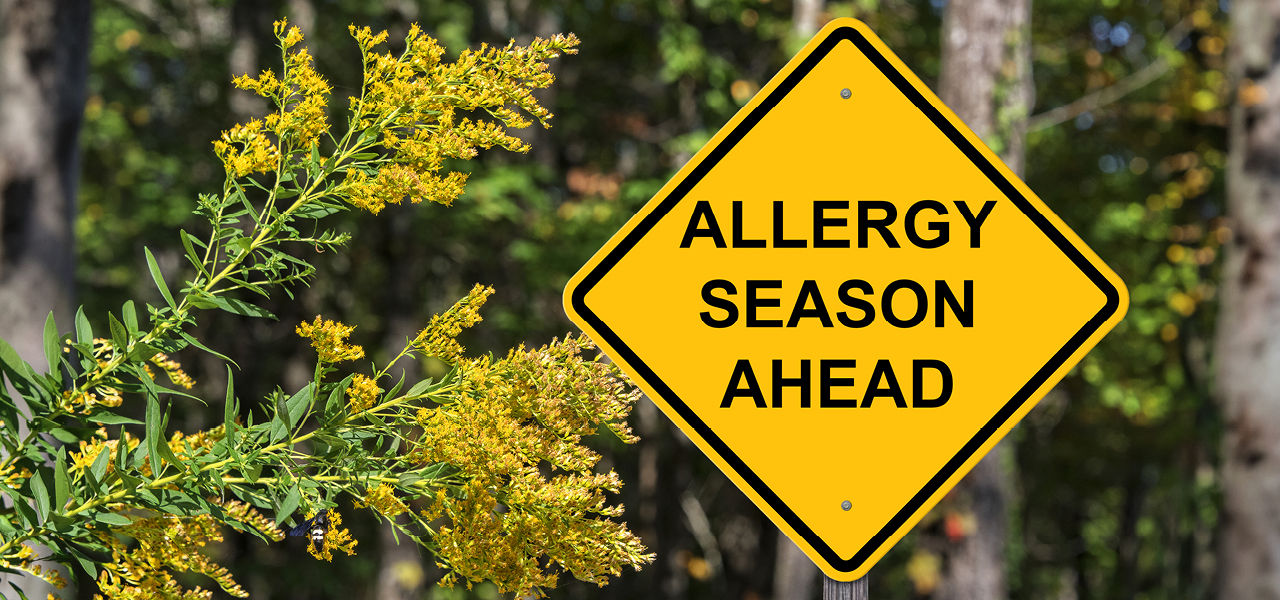 allergy season ahead warning sign
